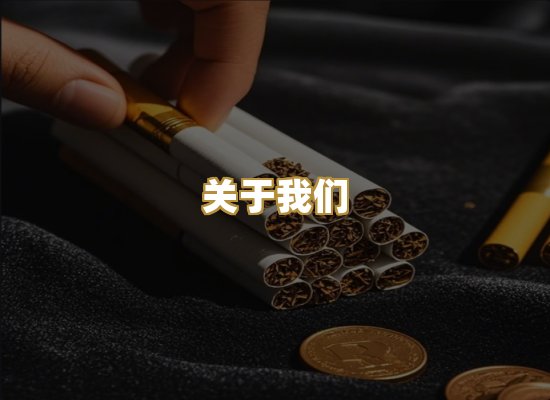 关于我们